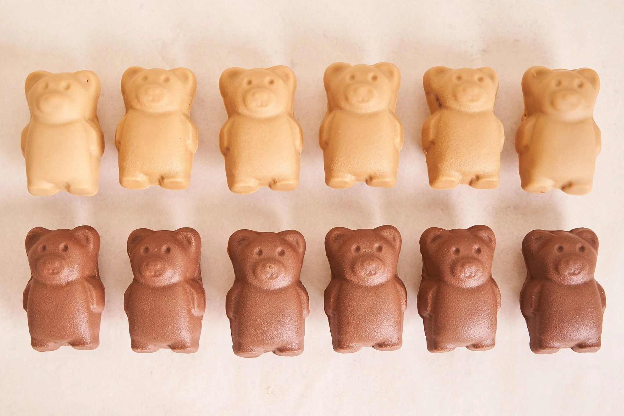 Teddy Bear Duo - Large Scale Orders — Lysee NYC